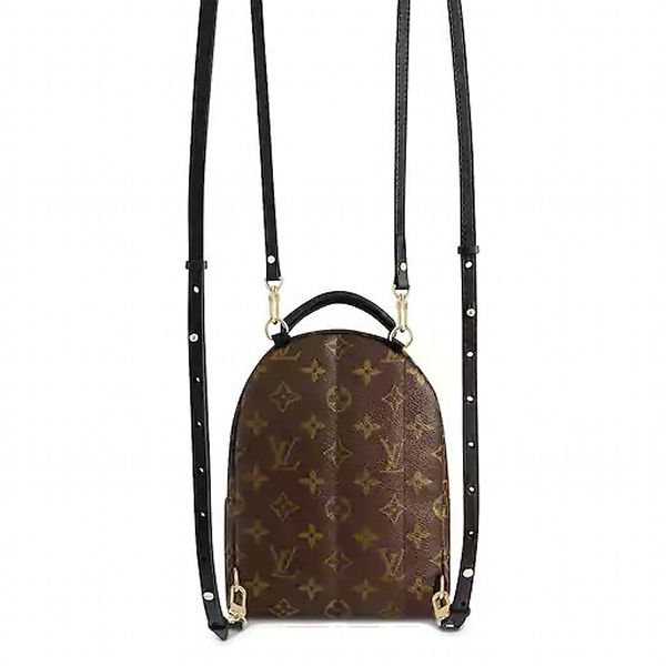 Louis Vuitton Monogram Palm Springs Backpack Mini Brown — view 4