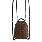 Louis Vuitton Monogram Palm Springs Backpack Mini Brown — view 4