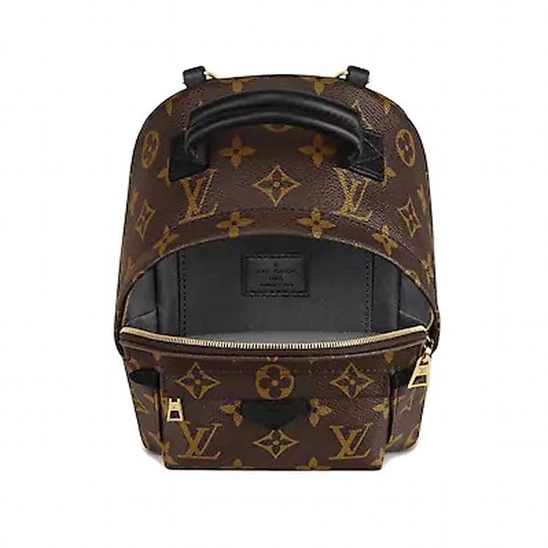 Louis Vuitton Monogram Palm Springs Backpack Mini Brown — view 2