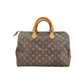 Louis Vuitton Handbag Speedy 35
