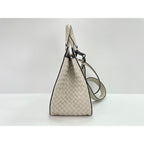 Bottega Veneta Handbag 2-Way Erittica — view 5