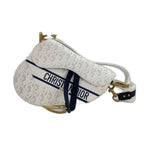 Dior 2-Way Saddle