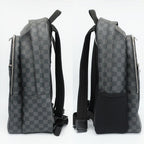 Louis Vuitton Ten Michael Backpack Damier Graphite Black Silver — view 4