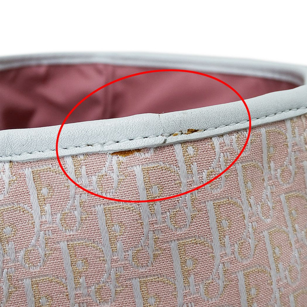 Dior Tote Trotter Canvas Pink White — view 8