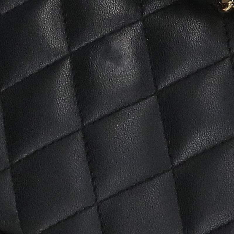 Chanel Quilted 25 29 Lambskin Double Flap Chain Leather Shoulder Bag 25 — view 5