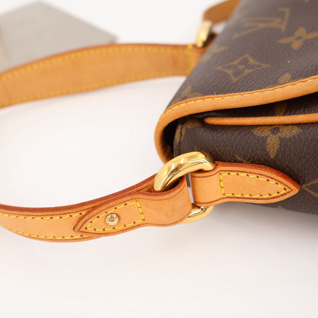 Louis Vuitton Monogram PM Shoulder — view 6
