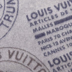 Louis Vuitton Echarpe Truns Scarf — view 4