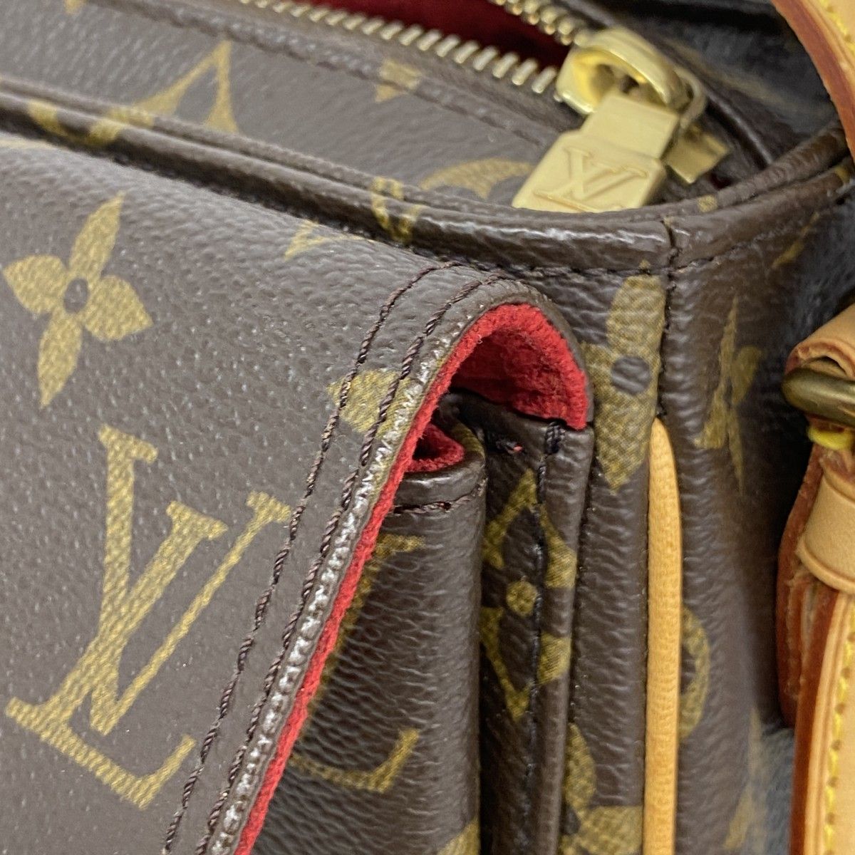 Louis Vuitton Shoulder Bag Monogram Viva Cite MM Brown — view 9