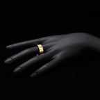 Louis Vuitton Ring LV Instinct Set Gold Plated M Silver Out of Stock — view 8