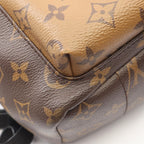 Louis Vuitton Backpack Palm Springs PM Canvas Leather — view 6