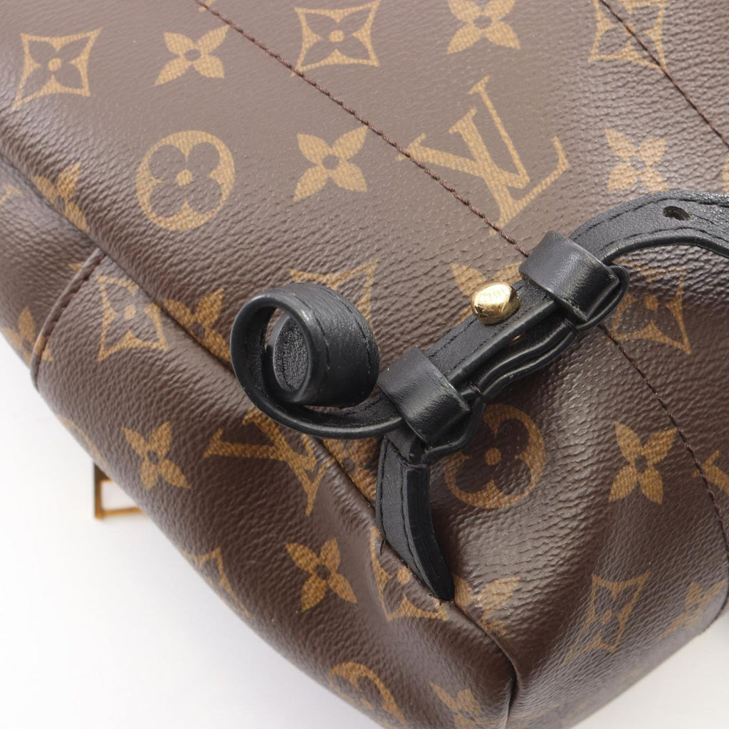 Louis Vuitton Backpack Palm Springs PM Canvas Leather — view 9