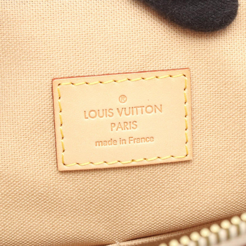 Louis Vuitton Shoulder Bag Syracuse MM Canvas Leather — view 4