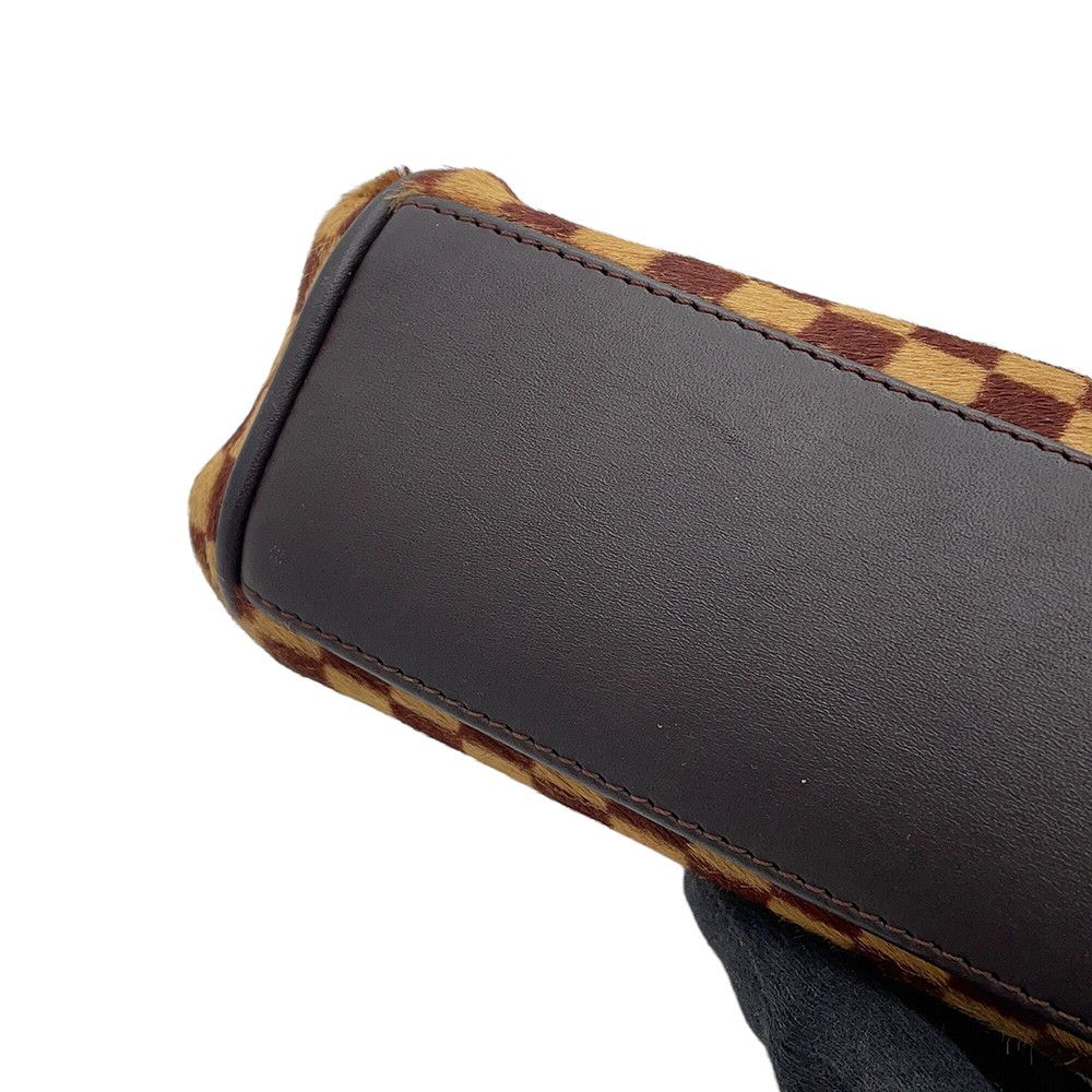Louis Vuitton Handbag Damier Sauvage Calf Hair Lion — view 9