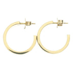 Louis Vuitton Earrings Nano Gram Enamel Black Gold