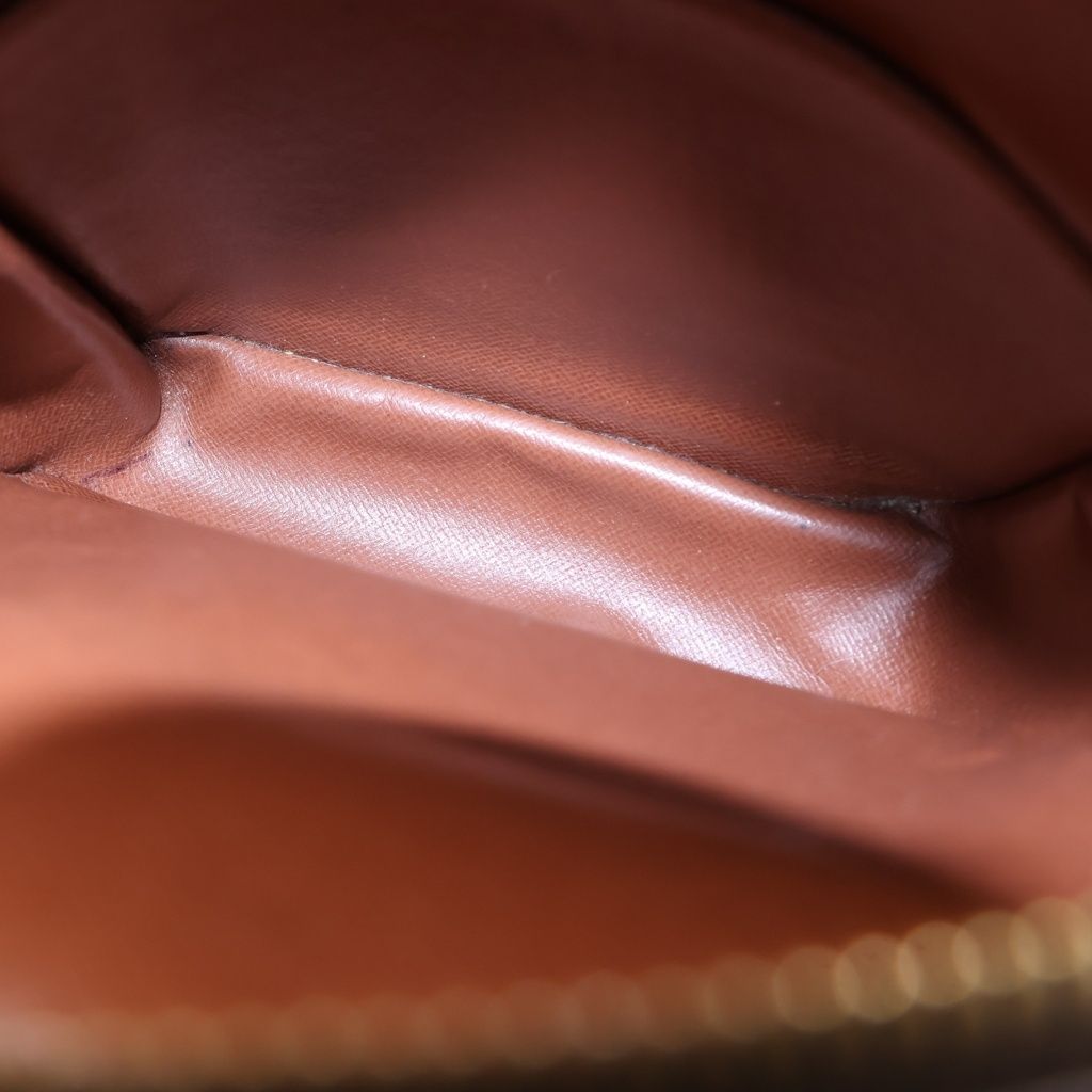 Louis Vuitton Monogram Amazon Mini Shoulder Bag Brown Leather Gold — view 5