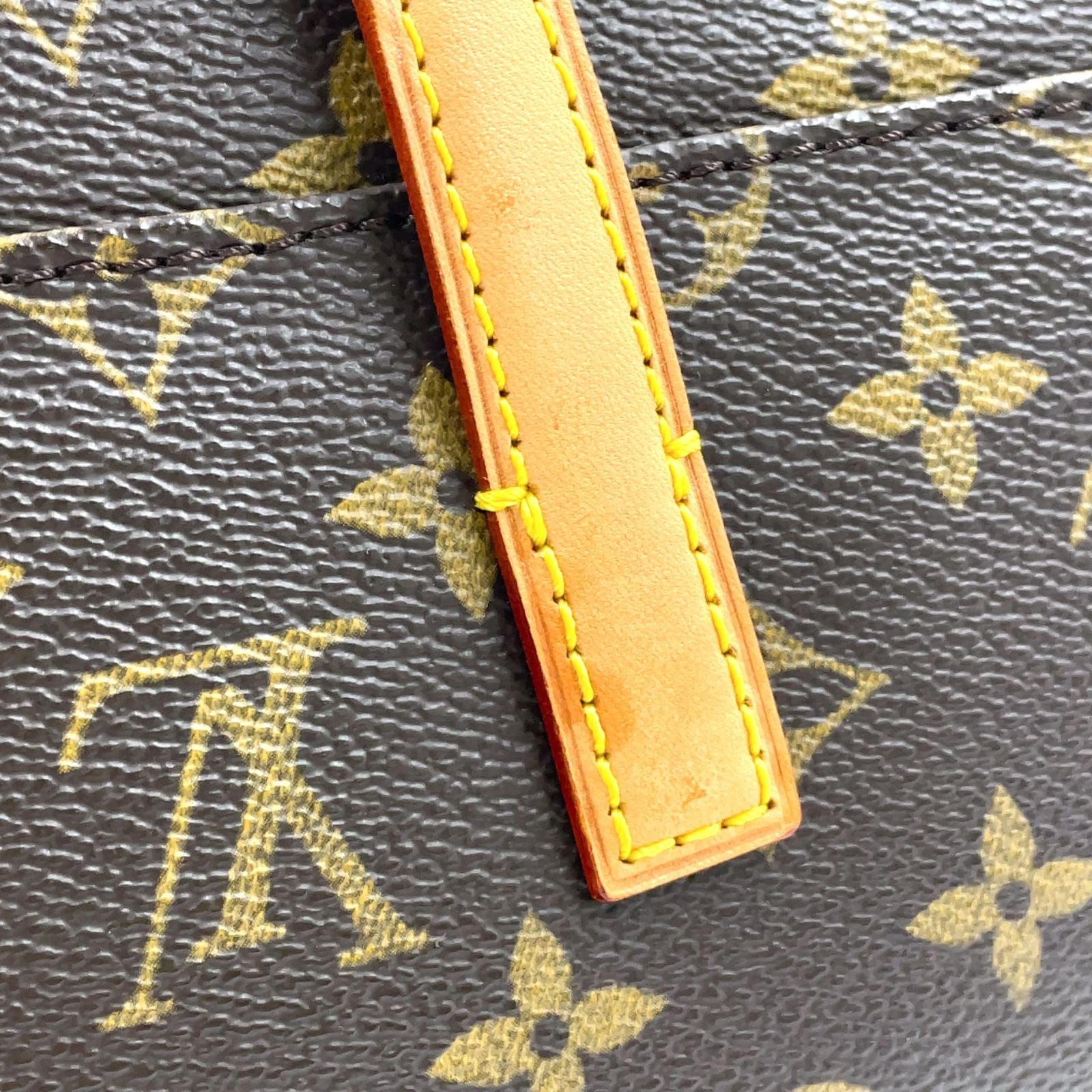 Louis Vuitton Sonatine Monogram Leather Brown Light Handbag Gold — view 8
