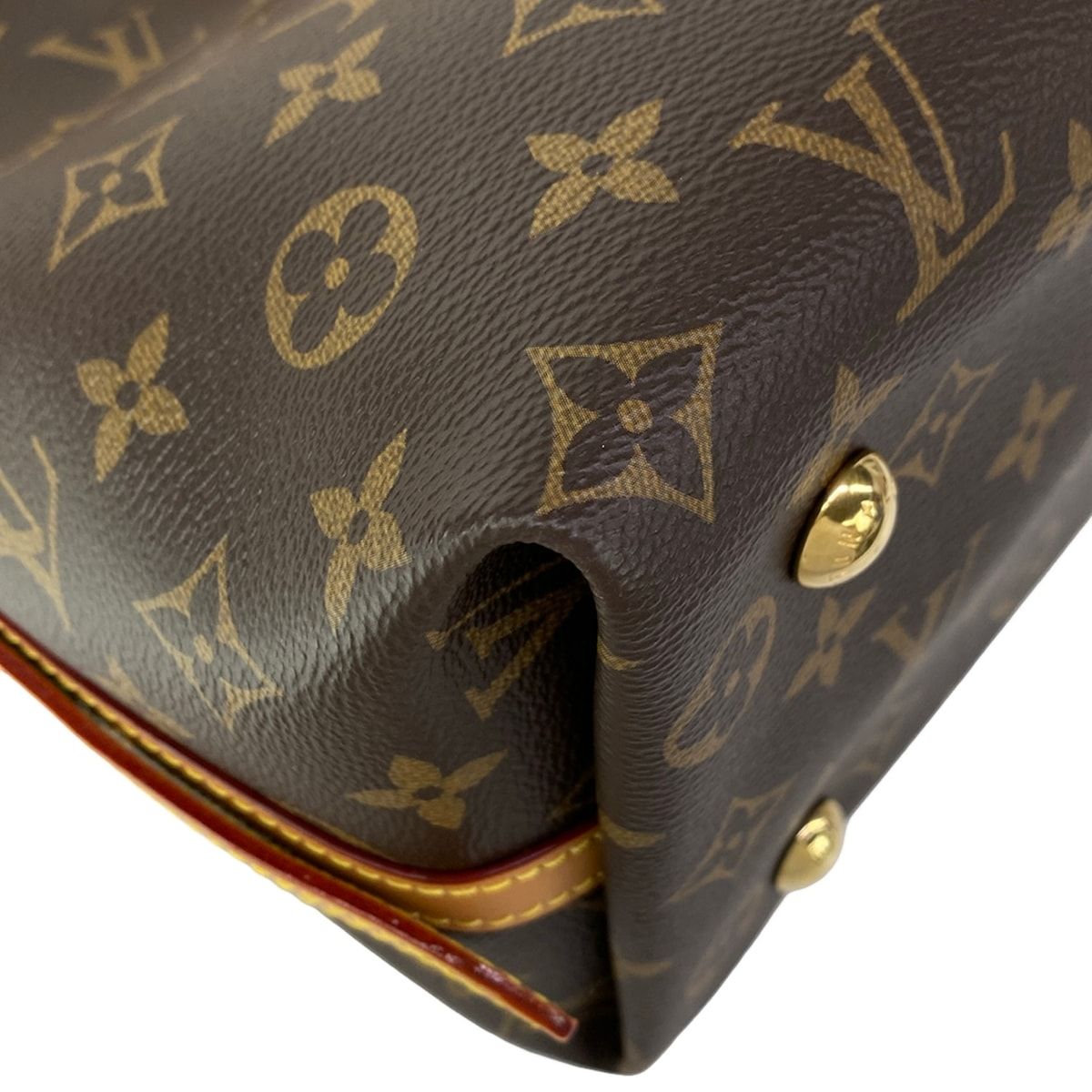 Louis Vuitton Shoulder Bag Monogram Carryall — view 6