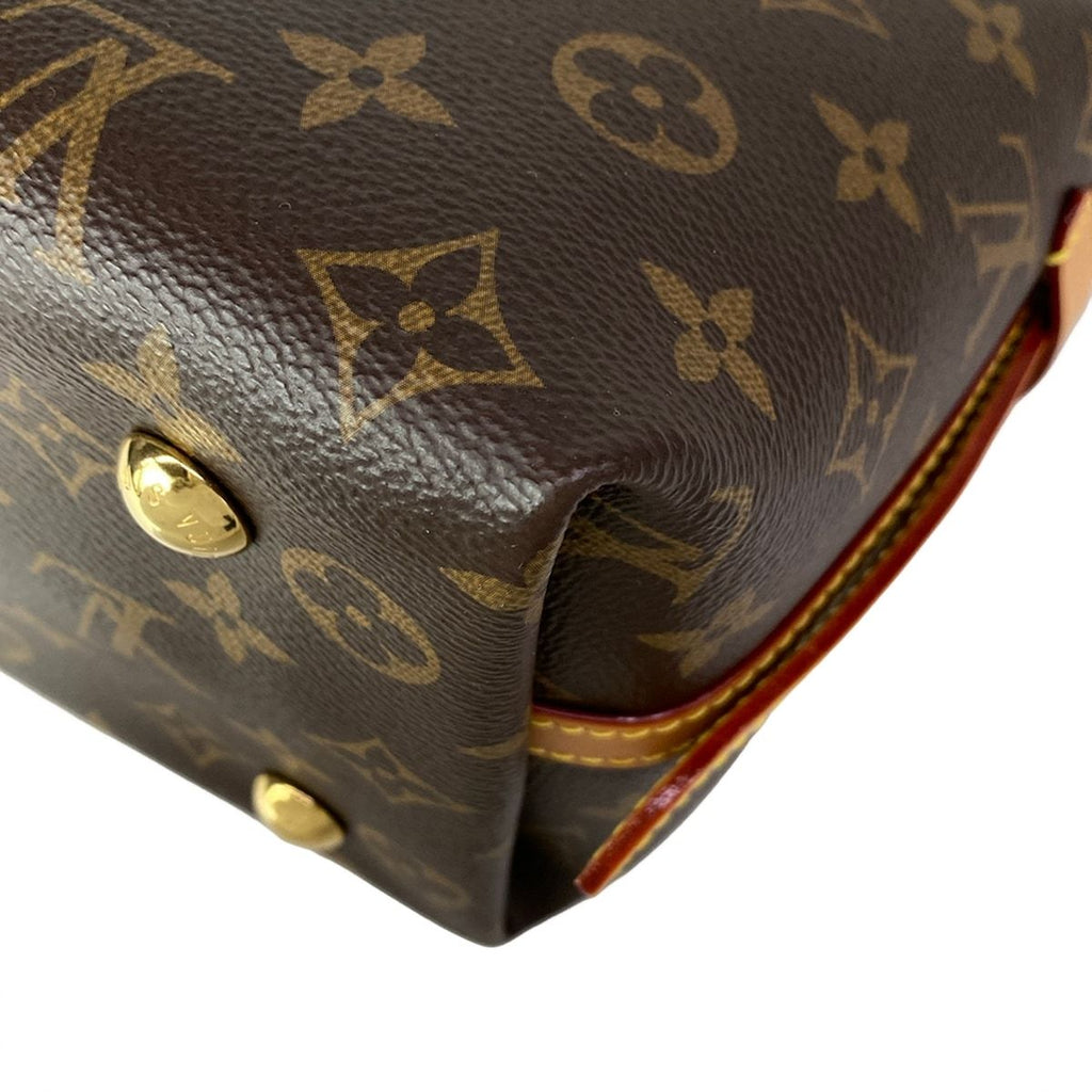 Louis Vuitton Shoulder Bag Monogram Carryall — view 9