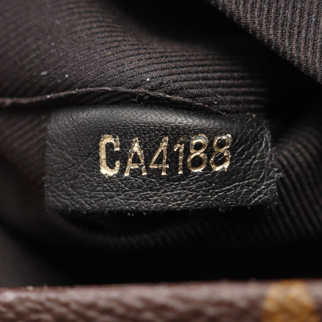 Louis Vuitton Backpack Palm Springs Mini Monogram Canvas Leather — view 5