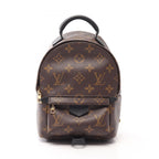 Louis Vuitton Backpack Palm Springs Mini Monogram Canvas Leather