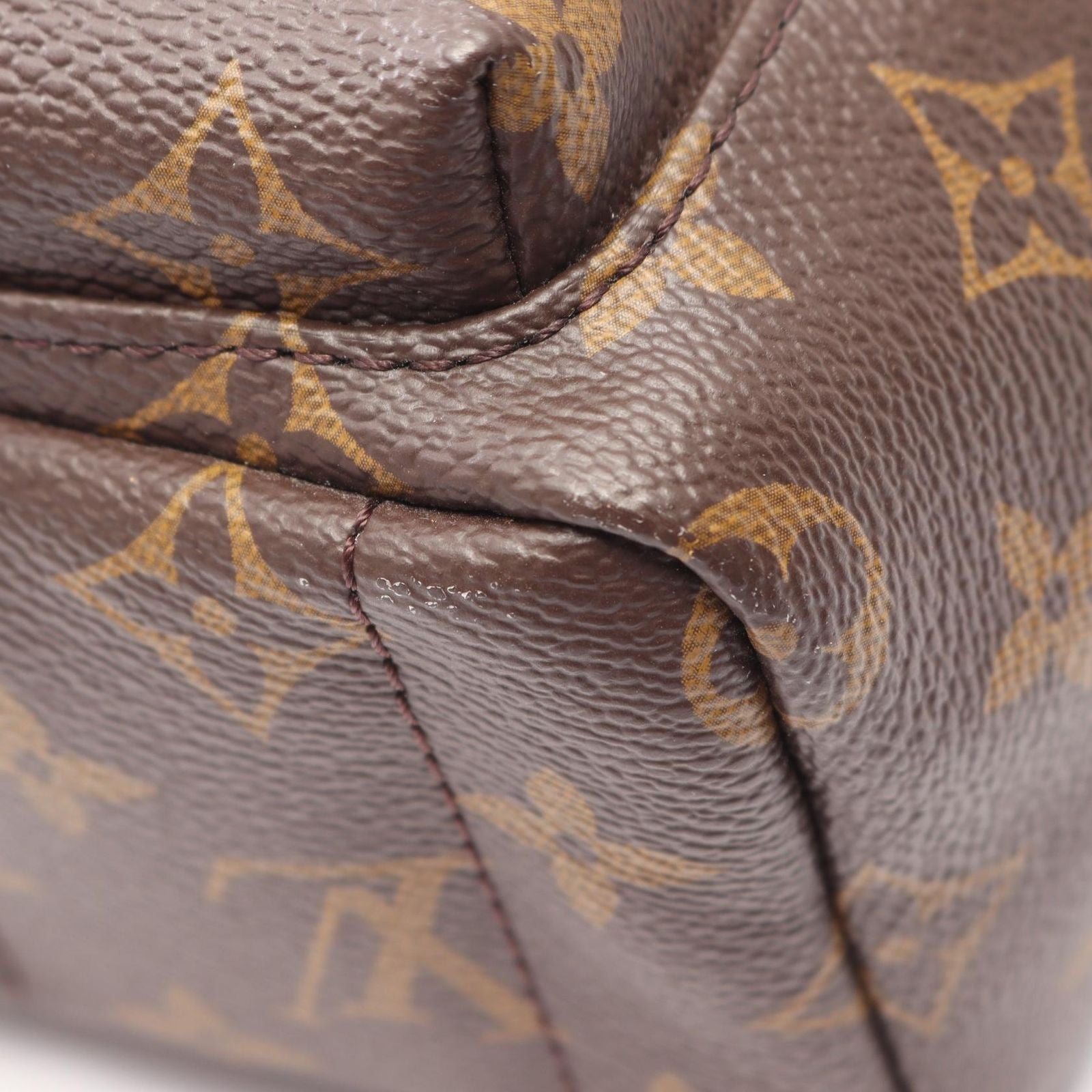 Louis Vuitton Backpack Palm Springs Mini Monogram Canvas Leather — view 6
