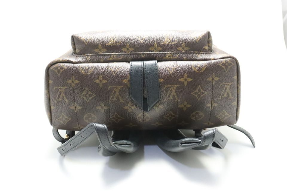 Louis Vuitton Monogram Palm Springs Leather Backpack — view 3