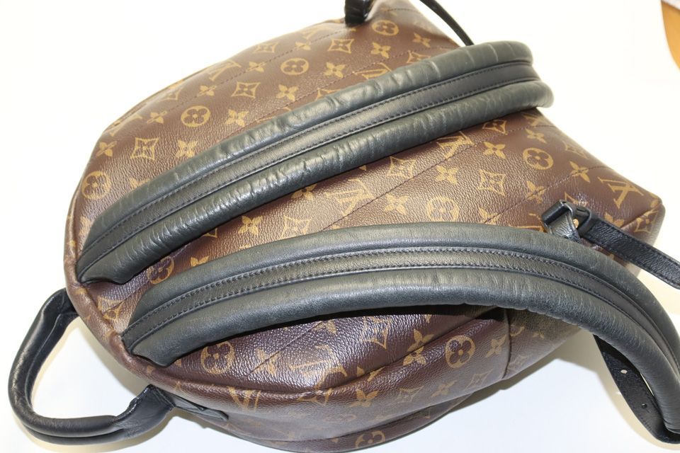 Louis Vuitton Monogram Palm Springs Leather Backpack — view 5