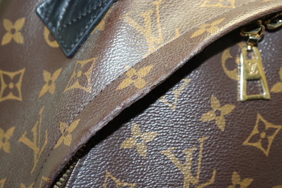 Louis Vuitton Monogram Palm Springs Leather Backpack — view 7