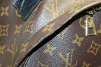 Louis Vuitton Monogram Palm Springs Leather Backpack — view 7
