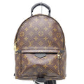 Louis Vuitton Monogram Palm Springs Backpack PM