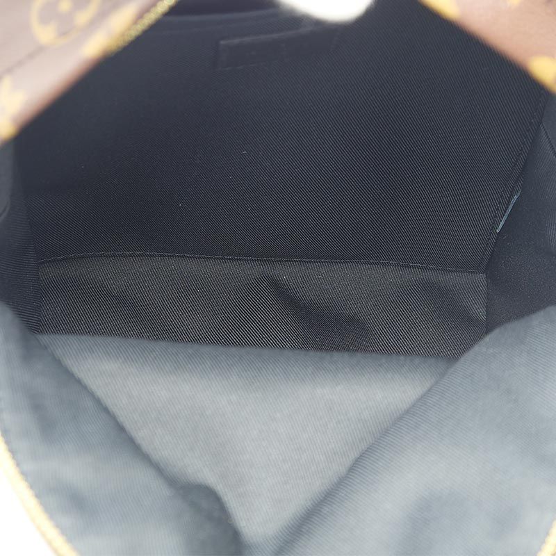 Louis Vuitton Monogram Palm Springs Backpack PM — view 7