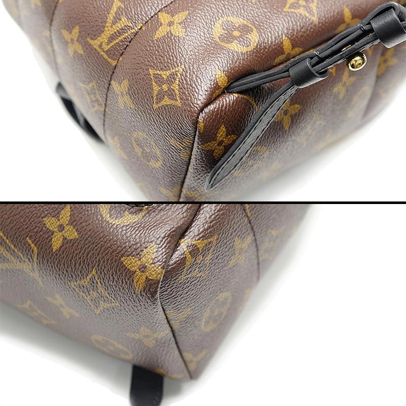 Louis Vuitton Monogram Palm Springs Backpack PM — view 3