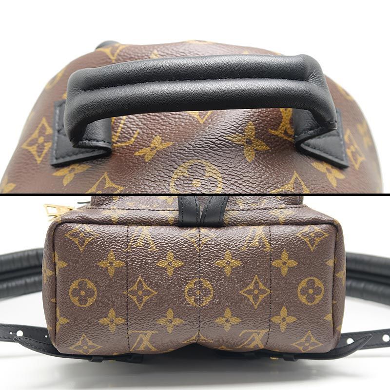 Louis Vuitton Monogram Palm Springs Backpack PM — view 5