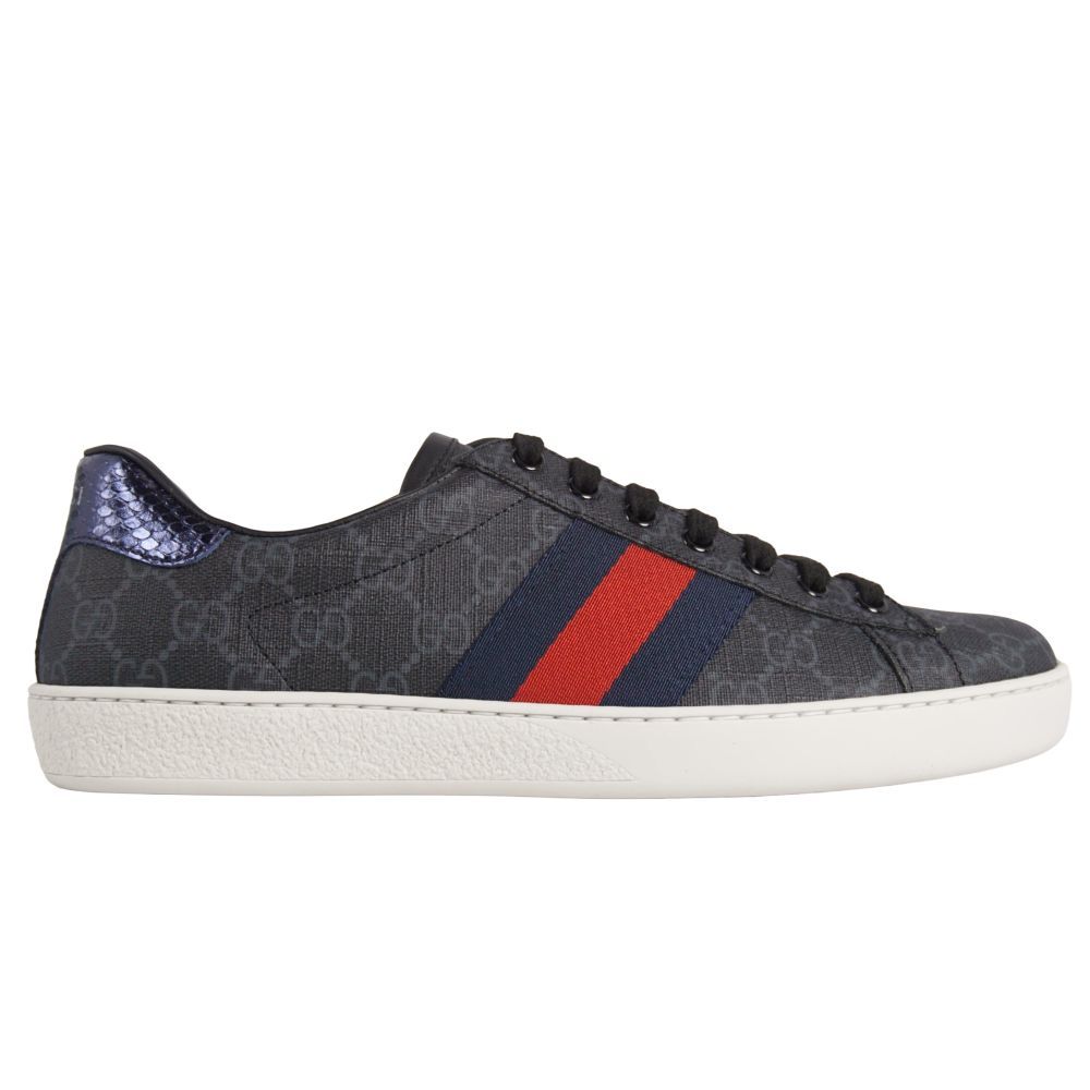 Gucci Sneakers Web Stripe Sherry — view 6