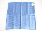 Hermes Grand Seychelles Pocket Chief Handkerchief Scarf Blue Carre 41