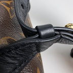 Louis Vuitton Palm Springs Backpack MM Monogram Brown — view 8