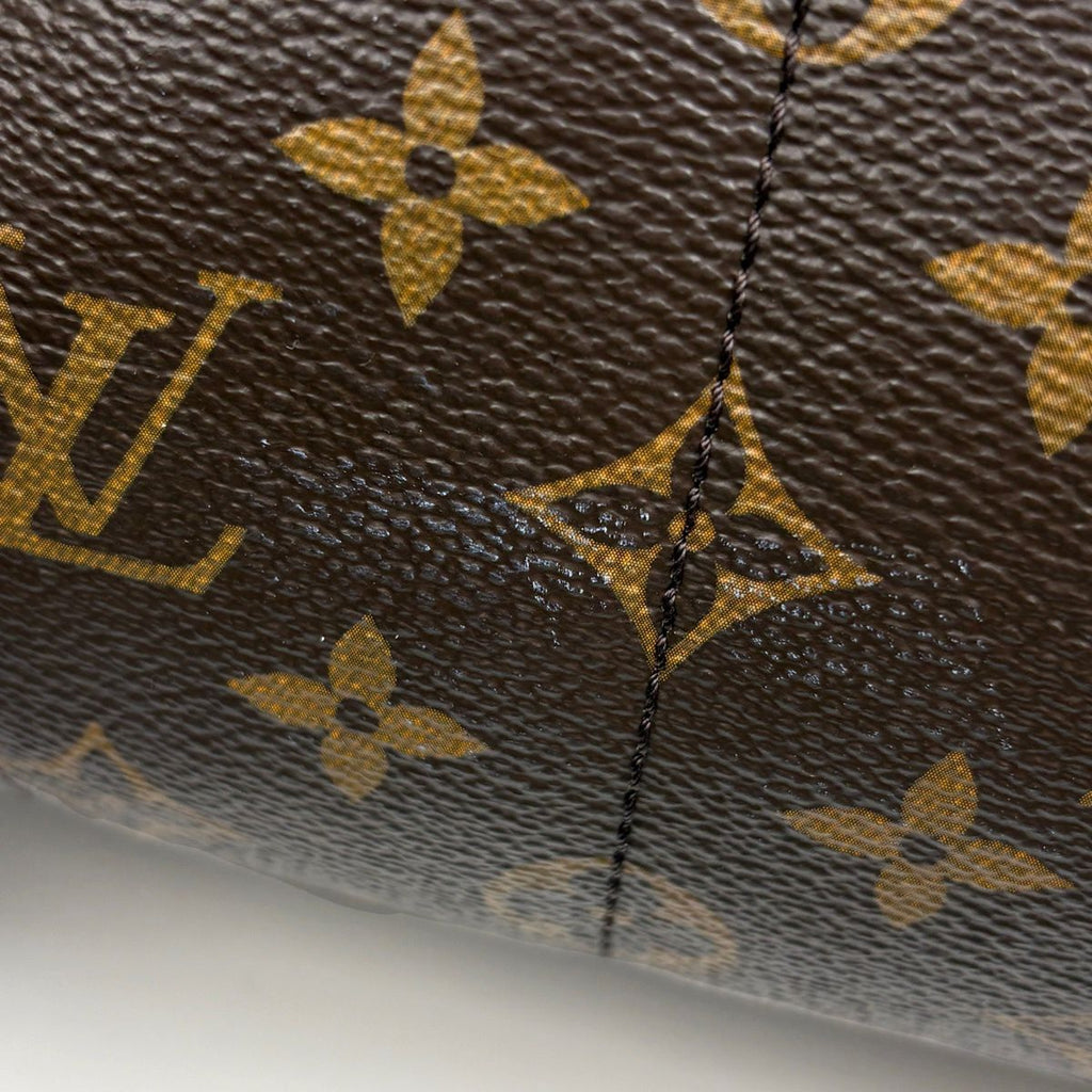 Louis Vuitton Palm Springs Backpack MM Monogram Brown — view 5