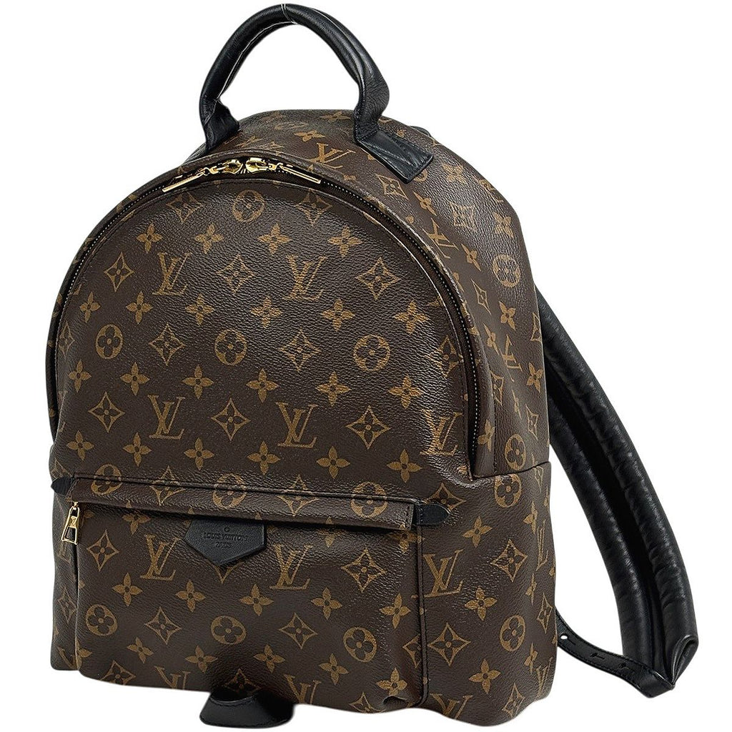 Louis Vuitton Palm Springs Backpack MM Monogram Brown