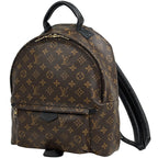 Louis Vuitton Palm Springs Backpack MM Monogram Brown