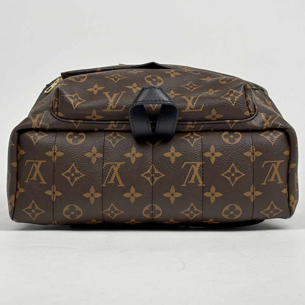 Louis Vuitton Palm Springs Backpack MM Monogram Brown — view 3