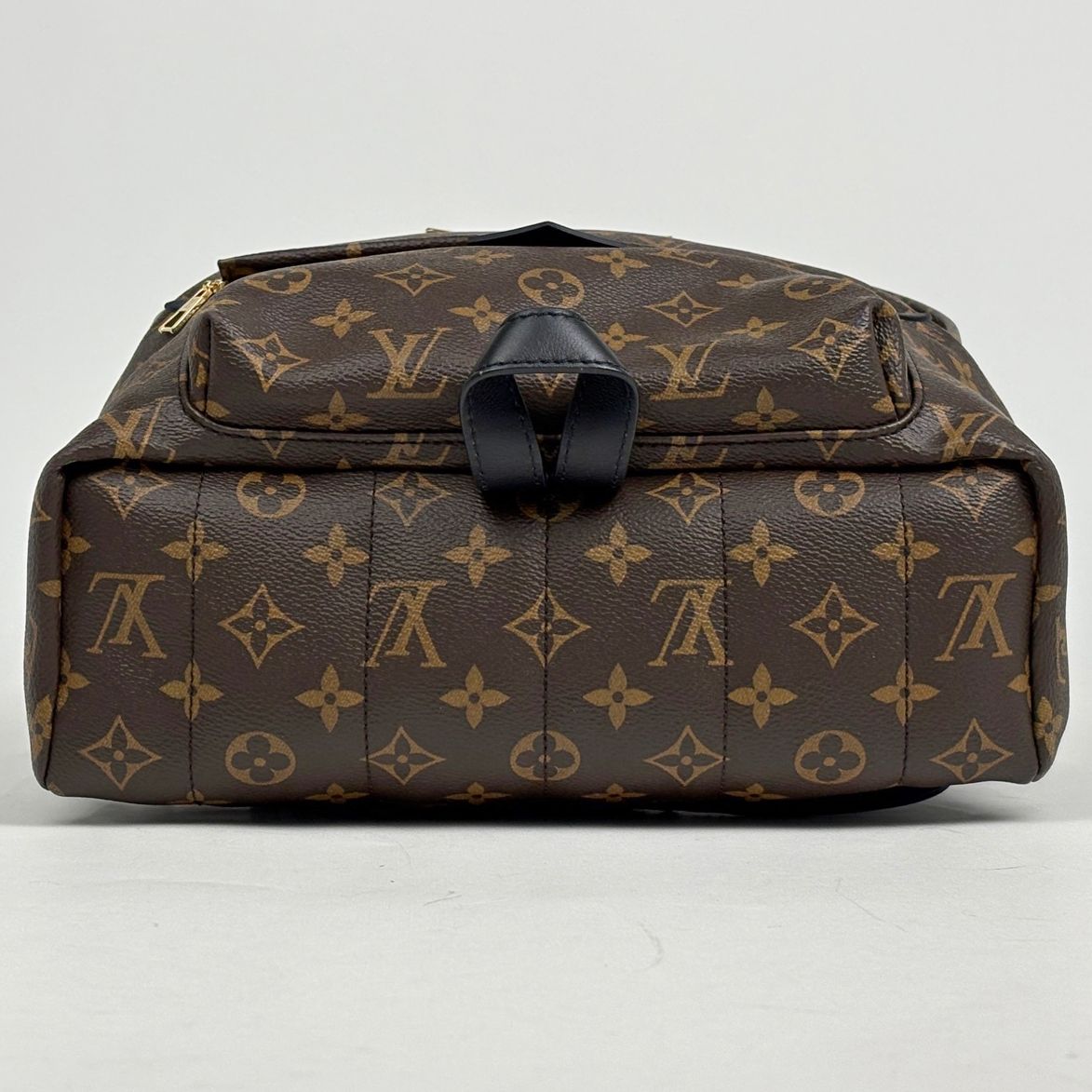 Louis Vuitton Palm Springs Backpack MM Monogram Brown — view 3