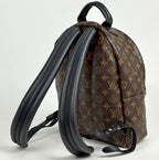 Louis Vuitton Palm Springs Backpack MM Monogram Brown — view 2