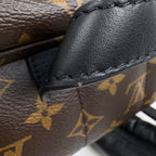 Louis Vuitton Palm Springs Backpack MM Monogram Brown — view 6