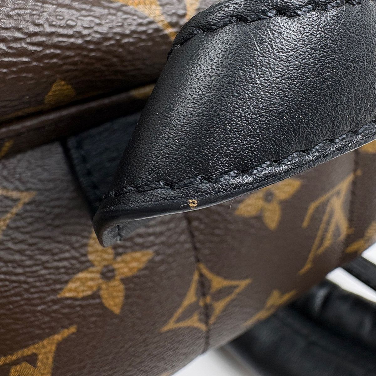 Louis Vuitton Palm Springs Backpack MM Monogram Brown — view 6