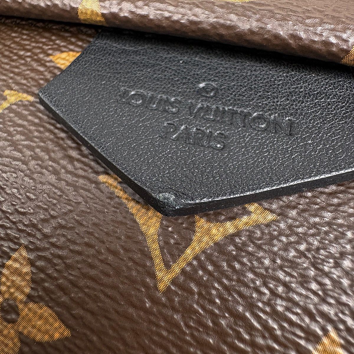 Louis Vuitton Palm Springs Backpack MM Monogram Brown — view 7