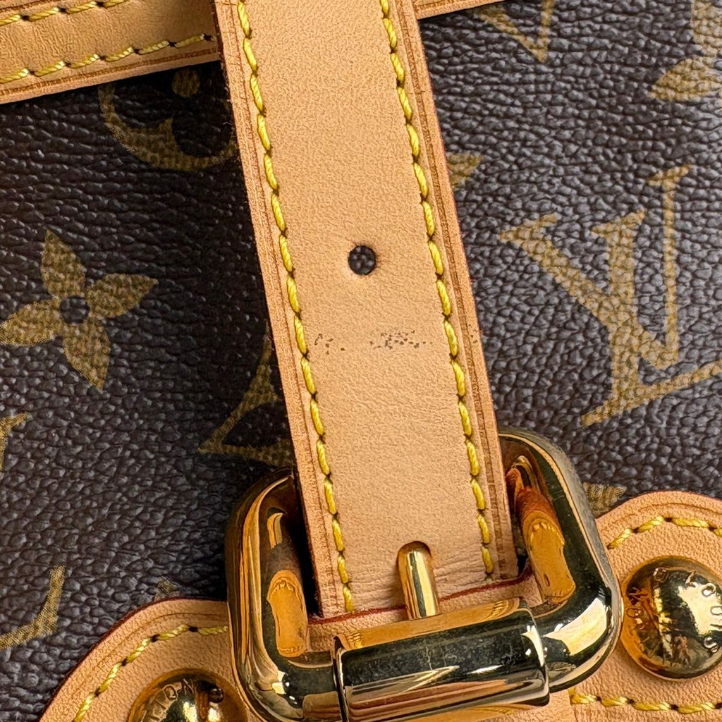 Louis Vuitton Palermo GM 2-Way Tote Monogram Brown — view 5