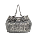 Chanel Bag Handbag Silver