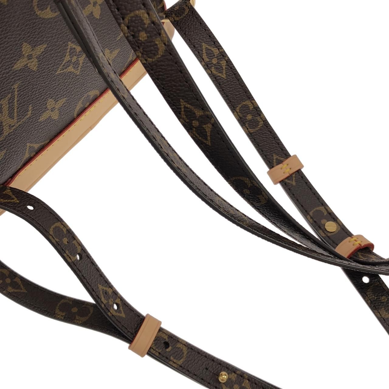 Louis Vuitton Monogram Montsouris Mini Backpack — view 5