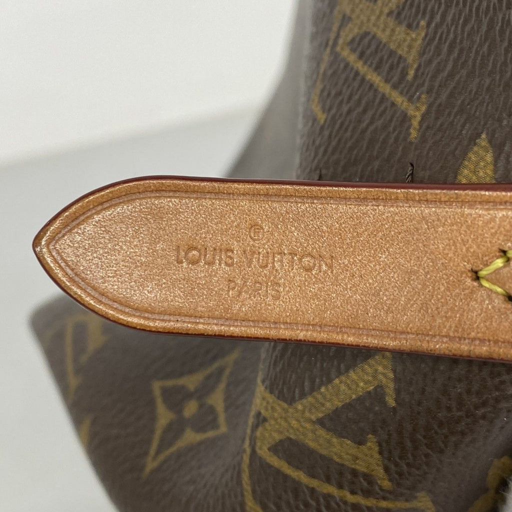 Louis Vuitton Handbag Monogram Neo Noe Brown 2-Way — view 5