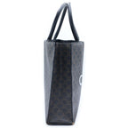 Celine Vertical Cabas Triomphe Canvas Tote Brown — view 3